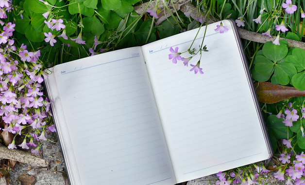 2026年度團委工作報告