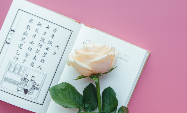 計(jì)算機(jī)專業(yè)暑假社會(huì)實(shí)踐報(bào)告